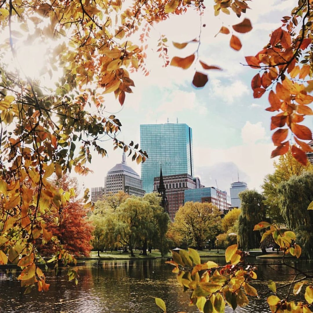 Things to Do in Boston This Fall The Newbury